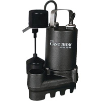 Cast Iron Submersible Sump Pump with Vertical Float Switch, 67 GPM, 33 V, 5 A, 1/3 HP Nuna Depot Inc.