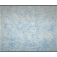 High-Arrestance Synthetic Media Filters, Pad, MERV 5, 24" W x 2" D x 12" H Nuna Depot Inc.