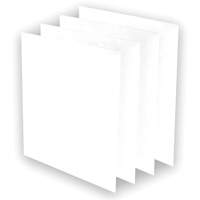 AeraMax&reg; Pro AM3 or AM4 Pre-Filters, 13.75" W x 0.13" D x 14.38" H Nuna Depot Inc.