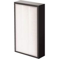 AeraMax&reg; Pro AM2 1-3/4" True HEPA Filter, Box, 7.38" W x 1.88" D x 12.88" H Nuna Depot Inc.