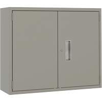 Armoire murale, Acier, 2 Tablettes, 30" h x 36" la x 12" P, Gris Nuna Depot Inc.