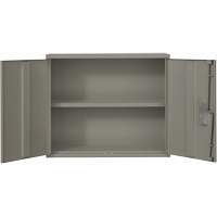 Armoire murale, Acier, 2 Tablettes, 30" h x 36" la x 12" P, Gris Nuna Depot Inc.