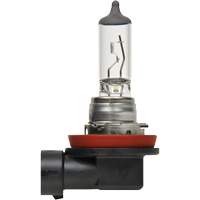 Ampoule de base pour feu avant H8, Halog&egrave;ne, 35 W, Blanc cass&eacute; Nuna Depot Inc.
