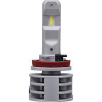 Ampoule pour feu avant H11, DEL, 13,2 W/17 W, Blanc Nuna Depot Inc.