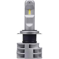 Ampoule pour feu avant H7, DEL, 13,2 W/17 W, Blanc Nuna Depot Inc.