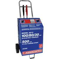 International Fleet & Commercial 220V Fast Battery Charger Nuna Depot Inc.
