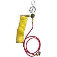 Automotive A/C Nitrogen Leak Test Kit with Regulator Nuna Depot Inc.