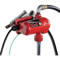 12V DC Fuel Transfer Pump with Nozzle Nuna Depot Inc.