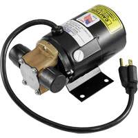 Drain pour camion &agrave; profil bas avec pompe &eacute;lectrique Nuna Depot Inc.