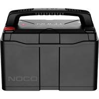 Group 31 120Ah Lithium-Ion LiFePO4 Dual-Purpose Battery Nuna Depot Inc.