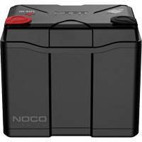 Group U1 40Ah Lithium Dual-Purpose Battery Nuna Depot Inc.