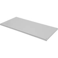 Replacement Shelf for Knocked Down Cabinet, 30" x 15", 100 lbs. Capacity, Steel, Grey Nuna Depot Inc.