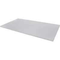 Replacement Shelf for Knocked Down Cabinet, 48" x 24", 300 lbs. Capacity, Steel, Grey Nuna Depot Inc.