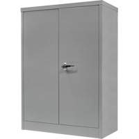 Counter-High Storage Cabinet, Steel, 2 Shelves, 42" H x 48" W x 24" D, Grey Nuna Depot Inc.