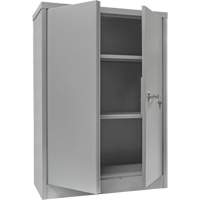 Counter-High Storage Cabinet, Steel, 2 Shelves, 42" H x 48" W x 24" D, Grey Nuna Depot Inc.