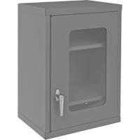 Armoire de rangement murale avec portes transparentes, 26-15/16" h x 18-1/8" la x 13-11/16" p, 2 tablettes, Acier, Gris Nuna Depot Inc.