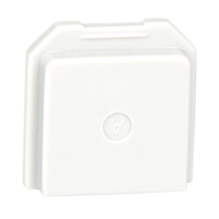 BW Gas Detector Dummy Sensor for Toxic Location Nuna Depot Inc.