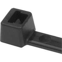 PA66 Cable Ties, 5-1/2" Long, 18 lbs. Tensile Strength, Black Nuna Depot Inc.