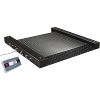 Defender 2500 Drum Scale, 500 lbs. Capacity, 2.5' L x 2.5' W Nuna Depot Inc.