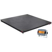 Balance de plancher DEFENDER 3000, Capacit&eacute; de 2500 lb, 48" la x 48" lo Nuna Depot Inc.