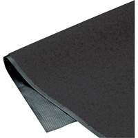 Tapis ColorStar, Essuie-pieds, 3' x 5' x 3/8", Charbon Nuna Depot Inc.