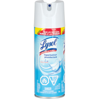 Disinfectant Spray, 350 g, Aerosol Can Nuna Depot Inc.