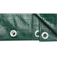 Tarp, Heavy-Duty, Green, 8' x 6' x 9 mils Nuna Depot Inc.