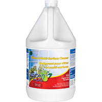 Glass & Multi-Surface Cleaners, 4 L, Jug Nuna Depot Inc.
