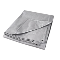 Tarp, Super Heavy-Duty, Silver, 10' x 8' x 12 mils Nuna Depot Inc.