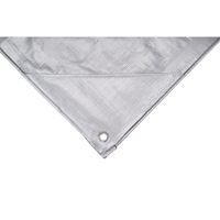 Tarp, Super Heavy-Duty, Silver, 10' x 8' x 12 mils Nuna Depot Inc.