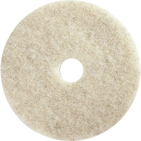 Tampons pour l'entretien des planchers, 21", Brunissage, Brun Nuna Depot Inc.