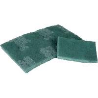 Scrubber Pad, 3" L x 4-1/2" W Nuna Depot Inc.
