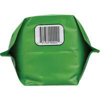 Biodegradable Hand Cleaner, Powder, 4.5 lbs., Packet, Unscented Nuna Depot Inc.