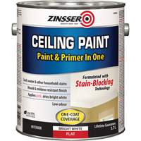 Peinture et appr&ecirc;t pour plafond en un seul produit, Blanc, Tr&egrave;s mat, 3,78 L, Gallon Nuna Depot Inc.