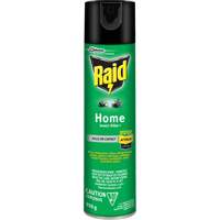 Insecticide pour insectes domestiques Raid, 350 g, &agrave; base de solvant Nuna Depot Inc.