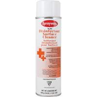 Disinfectant Surface Cleaner, 19 fl. oz., Aerosol Can Nuna Depot Inc.