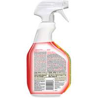 Disinfecting Bio Stain & Odour Remover, 946 ml, Trigger Bottle Nuna Depot Inc.