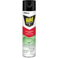 Insecticide pour araign&eacute;es et fourmis Essentials Raid, 350 g, Canette a&eacute;rosol Nuna Depot Inc.