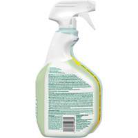 CloroxPro Clorox EcoClean Disinfecting Cleaner, 946 ml, Trigger Bottle Nuna Depot Inc.