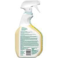 CloroxPro Clorox EcoClean All-Purpose Cleaner, 946 ml, Trigger Bottle Nuna Depot Inc.
