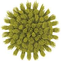 HyDrive Round Drill Brush, Extra Stiff Bristles, 3-1/10" Long, Yellow Nuna Depot Inc.