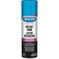 Brillant instantan&eacute; Pro Line pour surfaces en plastique, 11 oz, Canette a&eacute;rosol Nuna Depot Inc.