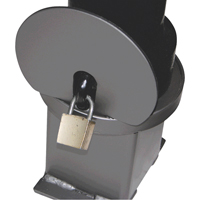 Removable Ornamental Bollards, Steel, 40" H x 4-1/2" W, Black Nuna Depot Inc.