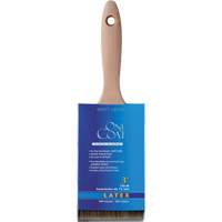 Paint Brushes
