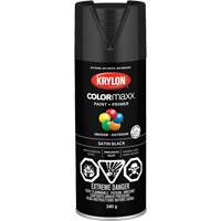COLORmaxx Paint + Primer, Black, Semi-Flat, 12 oz., Aerosol Can Nuna Depot Inc.