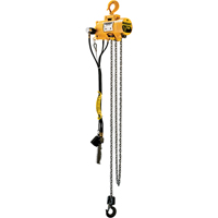 Budgit&reg; Air Chain Hoists Nuna Depot Inc.