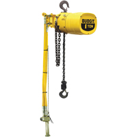 Budgit&reg; Series 6000 Air Hoists Nuna Depot Inc.