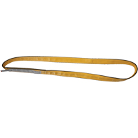 Polyester Slings, Single Ply, Endless, Type 5, 1" W x 3' L, 3200 lbs. Vertical Cap. Nuna Depot Inc.
