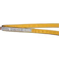 Polyester Slings, Single Ply, Endless, Type 5, 1" W x 3' L, 3200 lbs. Vertical Cap. Nuna Depot Inc.