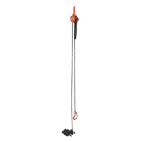 Mini palan &agrave; levier, Lev&eacute;e 15', Cabacit&eacute; 1000 lb (0,5 tonne), Chaîne en Acier Nuna Depot Inc.